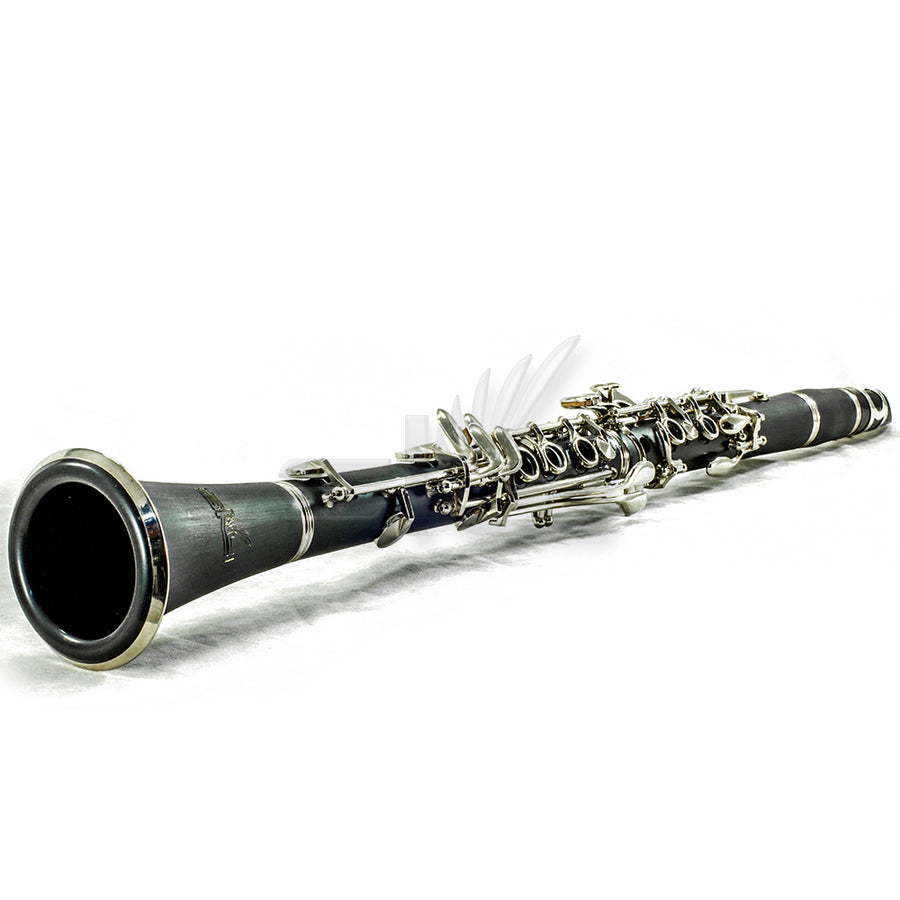 SKY Black Bb Clarinet Ebony Neck with Case, Mouthpiece, 11 Reeds, Care Kit and More