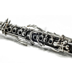 SKY Black Bb Clarinet Ebony Neck with Case, Mouthpiece, 11 Reeds, Care Kit and More