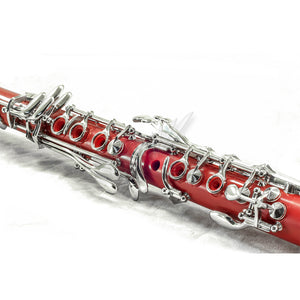 SKY Red ABS Student Bb Clarinet with Case, Mouthpiece, 11 Reeds, Care kit and more