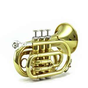 Sky Band Approved Gold Lacquer Plated Brass Bb Pocket Trumpet