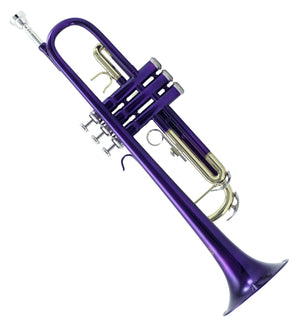 Sky Band Approved Purple Lacquer Plated Brass Bb Trumpet Guarantee Top Quality Sound