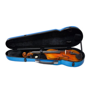 PAITITI Triangular Full Size Durable Super Light Fiber Glass Violin Case with Hygrometer