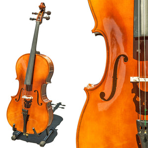 Paititi CE4009SE AVANT-GARDE Ebony Fitted Gloss Finish Solid Wood Cello