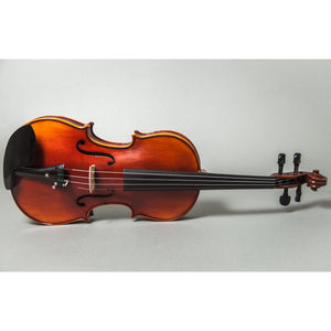 Professional Hand Made Violins 4/4 Full Size Beautiful Flamed Back Ebony Fitting