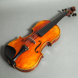 Sky Music Handmade Acoustic Violin Ebony Fitted 4/4 Two Piece Back Antique Finish