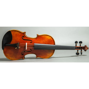 Sky Music Handmade Acoustic Violin Ebony Fitted 4/4 Two Piece Back Antique Finish