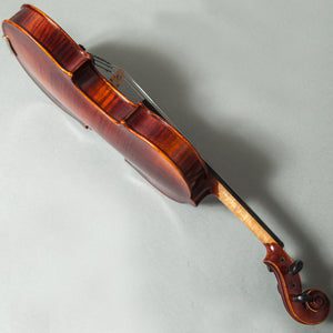 Sky Music FL004--EB-9R300 Ebony Fitted 4/4 Full Size Acoustic Violin Red Oil Varnish