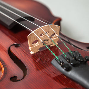 Sky Music FL004--EB-9R300 Ebony Fitted 4/4 Full Size Acoustic Violin Red Oil Varnish