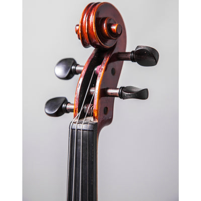 Amazon.com: Sky Music Handmade Acoustic Violin Ebony Fitted