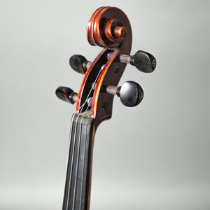 Sky FL003--EB-SBD269 Hand Made Professional 4/4 Full Size Violin Ebony Fitted Flammed Pattern