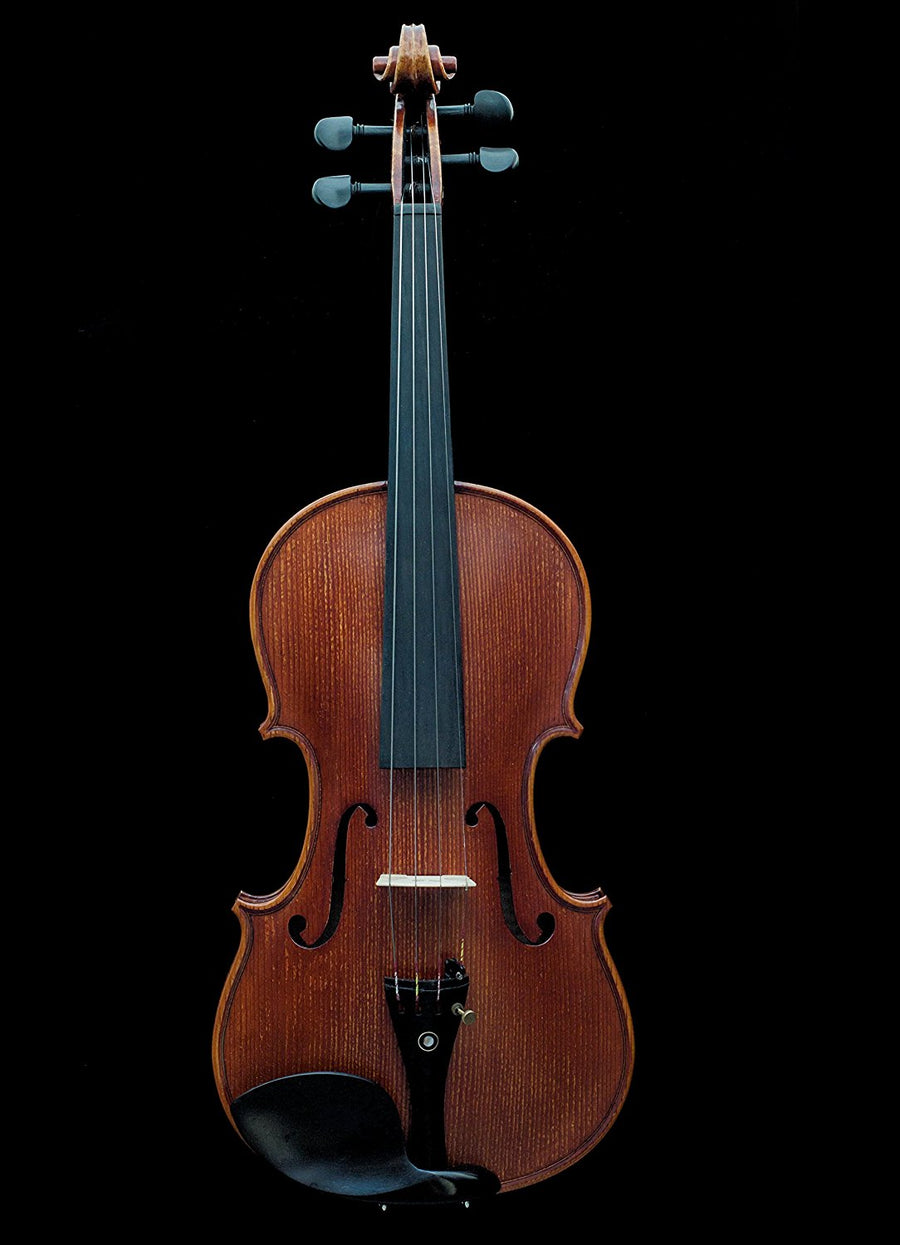 Sky Guarantee Mastero Sound Copy of Stradivarius 4/4 Size Professional Violin-YDQ01