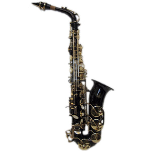 Sky E Flat Lacquer Alto Saxophone with F# Key, Case and 10 Reeds, Black