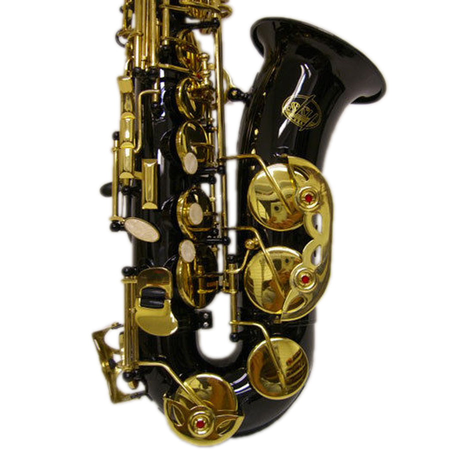 Sky E Flat Lacquer Alto Saxophone with F# Key, Case and 10 Reeds, Black