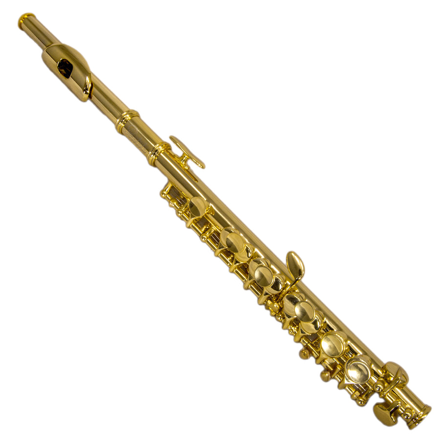 Sky(Paititi) Band Approved Gold Plated Piccolo Key of C Starter Kit