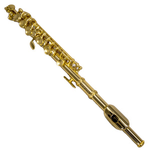 Sky(Paititi) Band Approved Gold Plated Piccolo Key of C Starter Kit