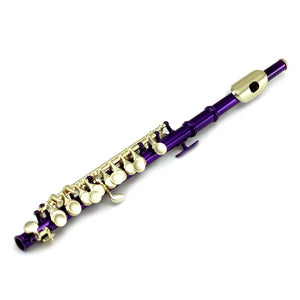 Sky(Paititi) Band Approved Purple Lacquer Plated Piccolo Key of C Starter Kit
