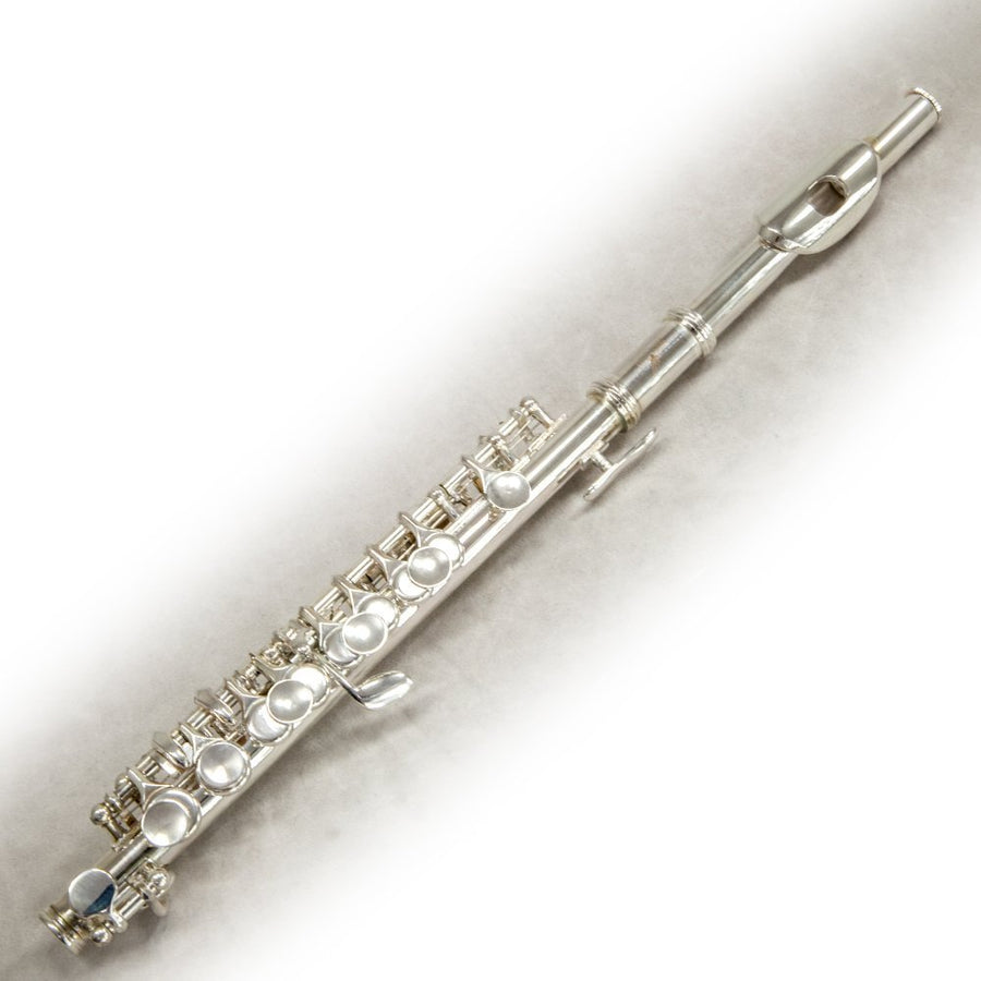 Sky(Paititi) Band Approved Silver Plated Piccolo Key of C Starter Kit